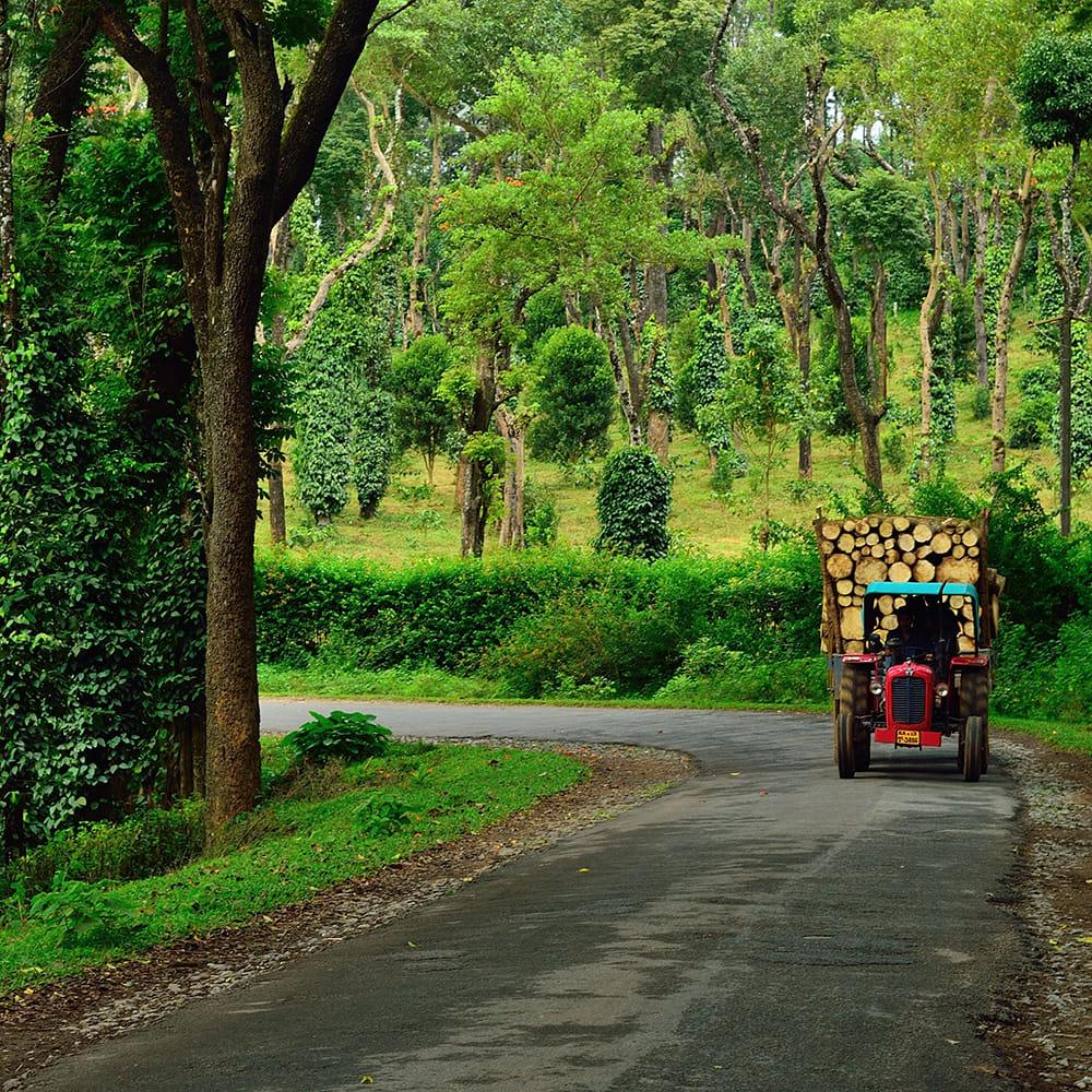 Coorg wishlist photo